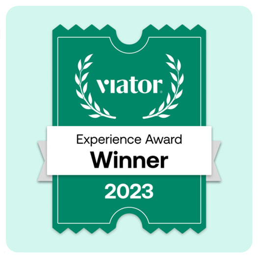 Viator Best Experience Award